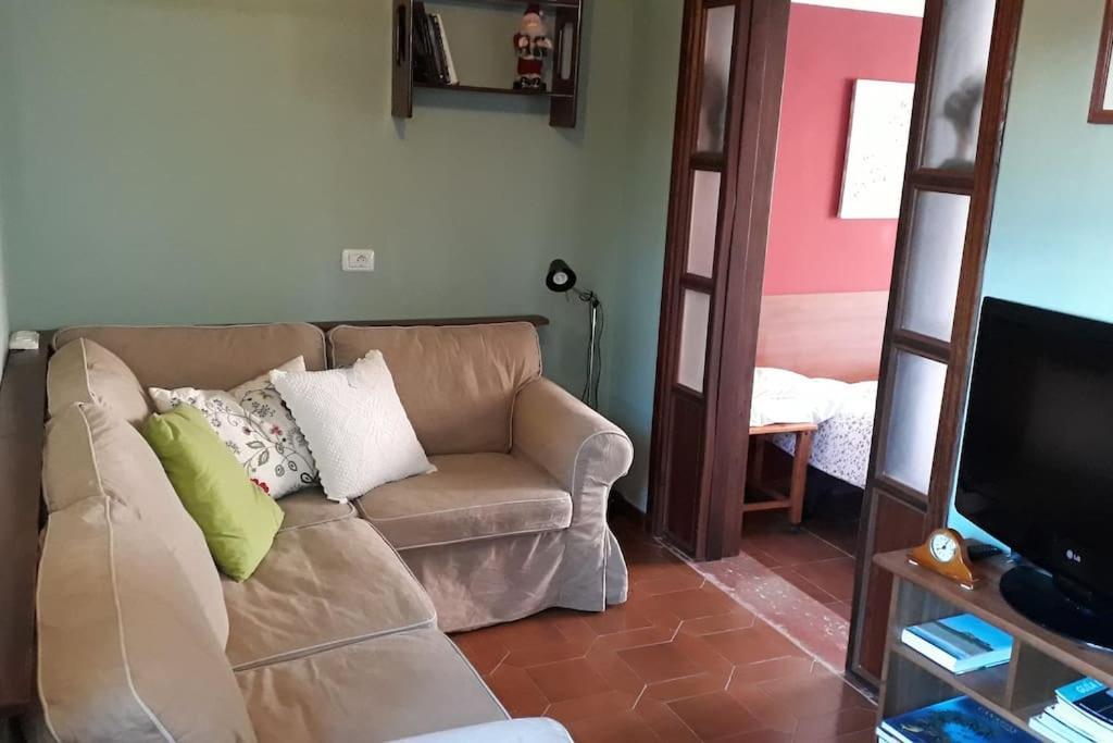 Apartamento Tranquilo En Una Casa Con Jardin La Laguna  Luaran gambar