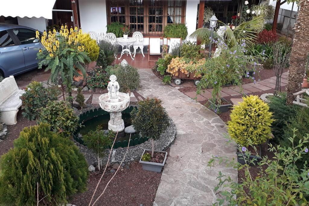 Apartamento Tranquilo En Una Casa Con Jardin La Laguna  Luaran gambar