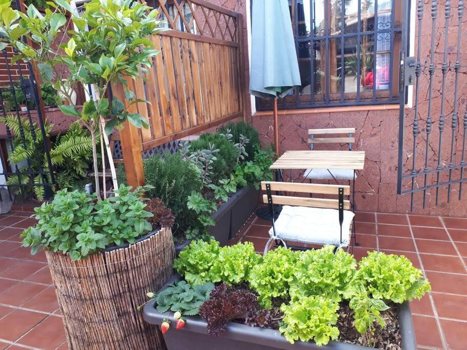 Apartamento Tranquilo En Una Casa Con Jardin La Laguna  Luaran gambar