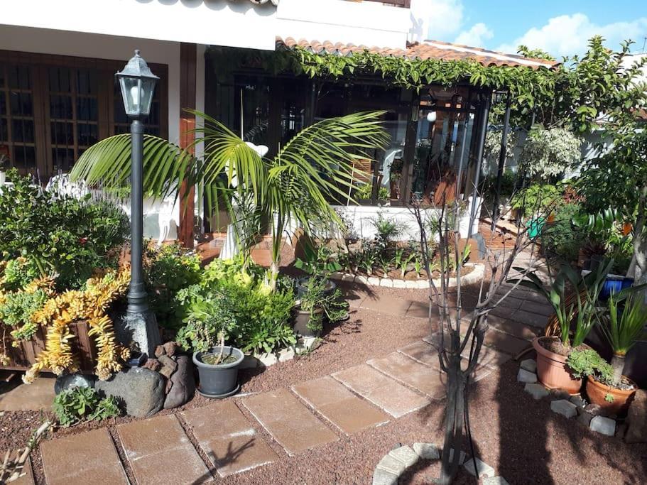 Apartamento Tranquilo En Una Casa Con Jardin La Laguna  Luaran gambar